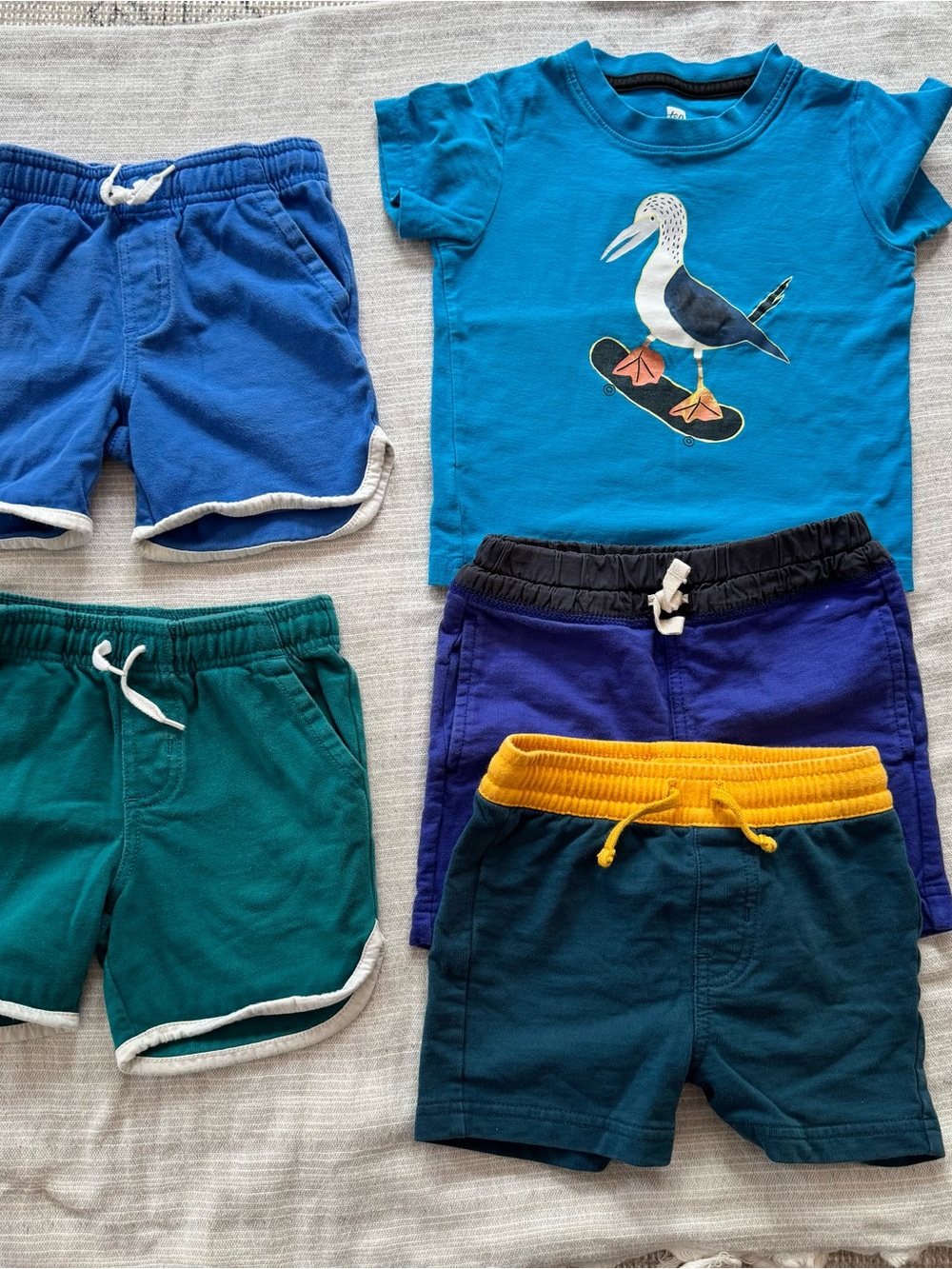 Tea Collection Bright Blue Seagull Tee with Blue, Teal, Navy & Purple Shorts